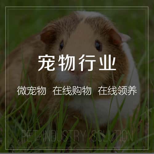 丹东宠物