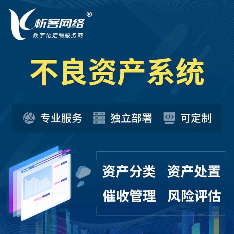 丹东不良资产管理系统